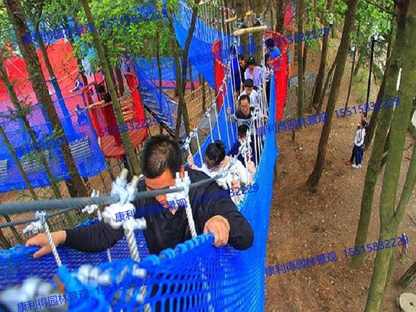 丛林穿越厂家